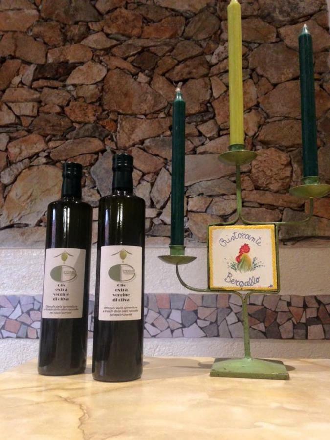 Albergo Ristorante Bergallo Tovo San Giacomo Luaran gambar